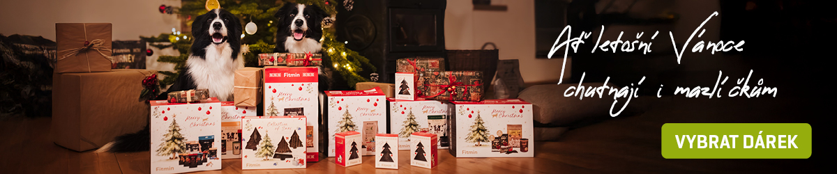 vanoce_snax_1200x250